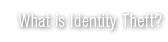 What Is Identity Theft